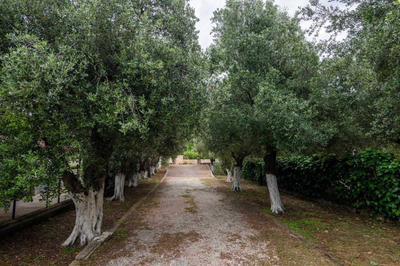 Studio De Bosset Argostoli  Eksteriør bilde